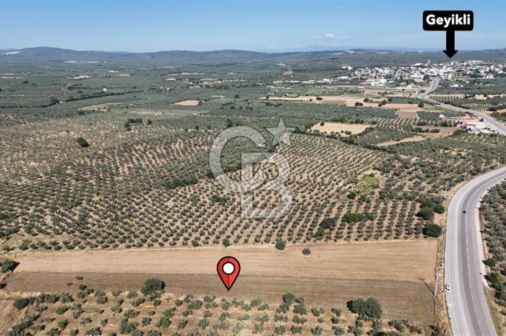 Ezine Geyikli'de Asfalt Yola Cepheli 7.916 m² Satılık Arazi