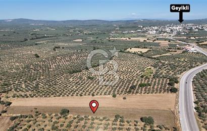 Ezine Geyikli'de Asfalt Yola Cepheli 7.916 m² Satılık Arazi