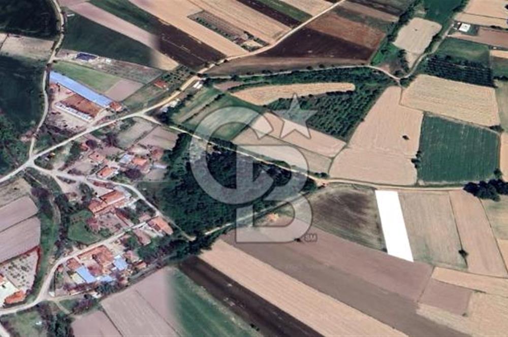 Kırklareli Merkez | Koyunbaba Köyü SATILIK 1.633 m² FIRSAT Tarla