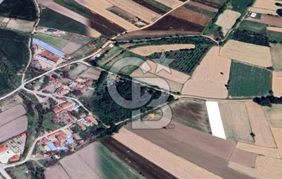 Kırklareli Merkez | Koyunbaba Köyü SATILIK 1.633 m² FIRSAT Tarla