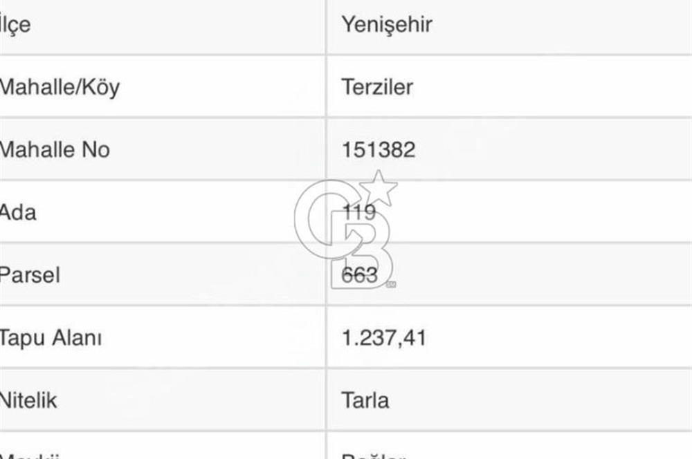 Doğa Severler ve Yatırımlar Fırsat! Müstakil Parsel 1237 m2 