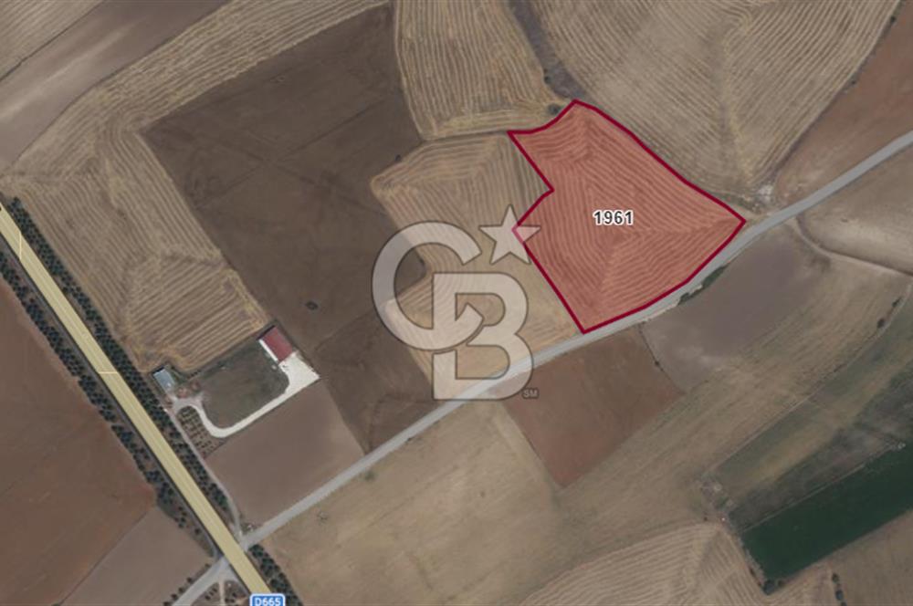 CB CITY'DEN KARAPAZAR MH. YOLA 147M CEPHELİ TARLA