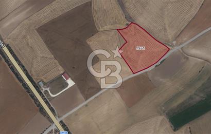 CB CITY'DEN KARAPAZAR MH. YOLA 147M CEPHELİ TARLA