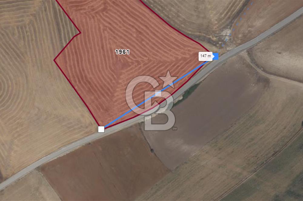 CB CITY'DEN KARAPAZAR MH. YOLA 147M CEPHELİ TARLA