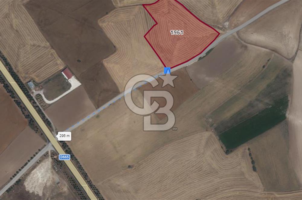 CB CITY'DEN KARAPAZAR MH. YOLA 147M CEPHELİ TARLA