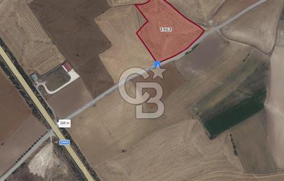 CB CITY'DEN KARAPAZAR MH. YOLA 147M CEPHELİ TARLA