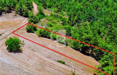 Doğa Severler ve Yatırımlar Fırsat! Müstakil Parsel 1237 m2 