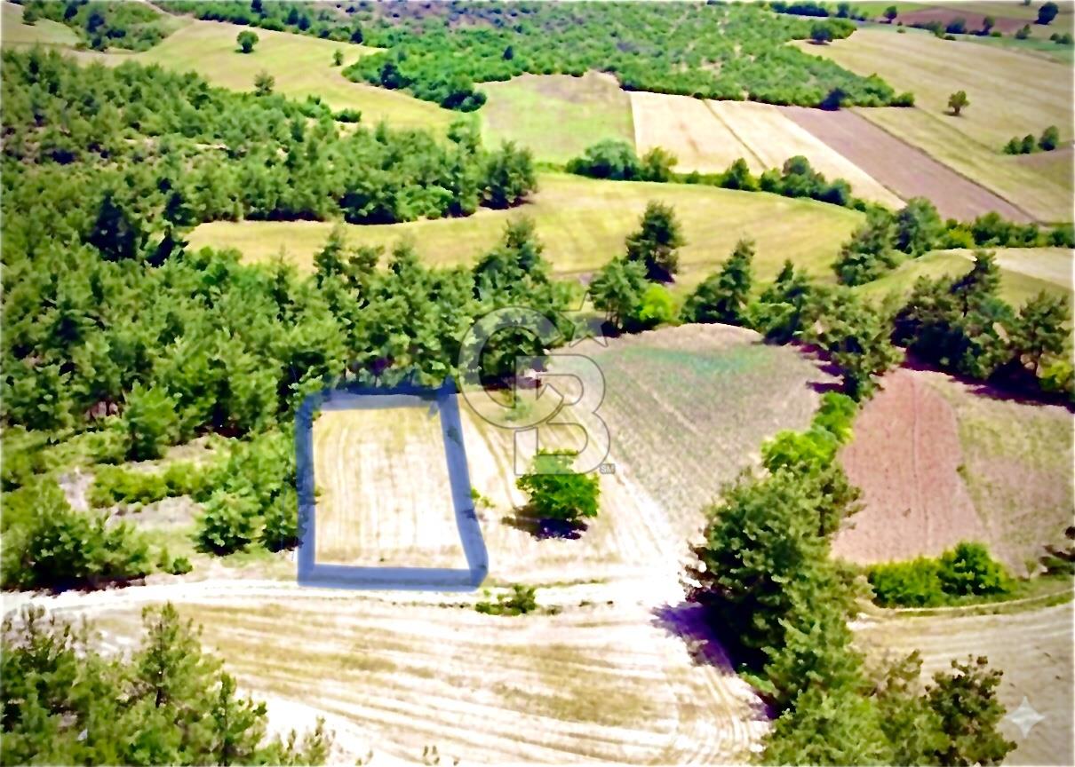 Doğa Severler ve Yatırımlar Fırsat! Müstakil Parsel 1237 m2 
