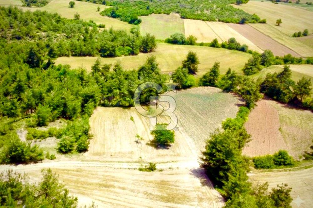 Doğa Severler ve Yatırımlar Fırsat! Müstakil Parsel 1237 m2 
