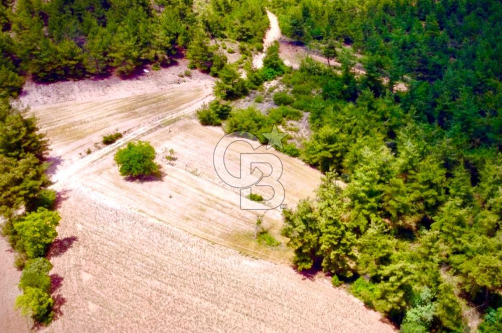 Doğa Severler ve Yatırımlar Fırsat! Müstakil Parsel 1237 m2 