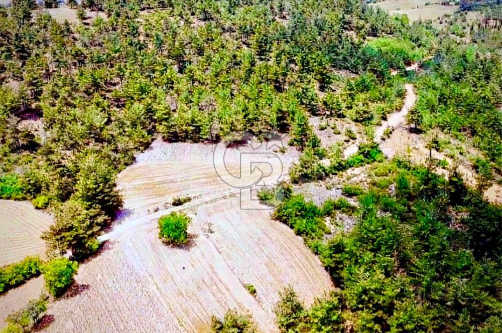 Doğa Severler ve Yatırımlar Fırsat! Müstakil Parsel 1237 m2 