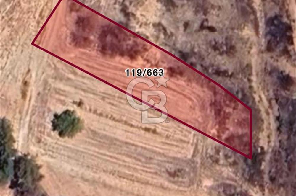 Doğa Severler ve Yatırımlar Fırsat! Müstakil Parsel 1237 m2 