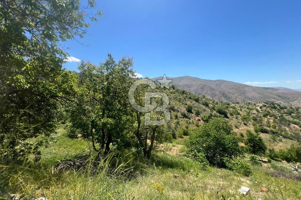 COLDWELL BANKER SAFİR'den GÜNDÜZBEY de 10.350 m² SATILIK BAHÇE
