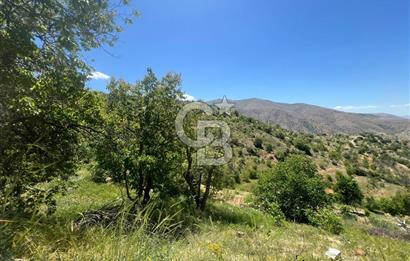 COLDWELL BANKER SAFİR'den GÜNDÜZBEY de 10.350 m² SATILIK BAHÇE