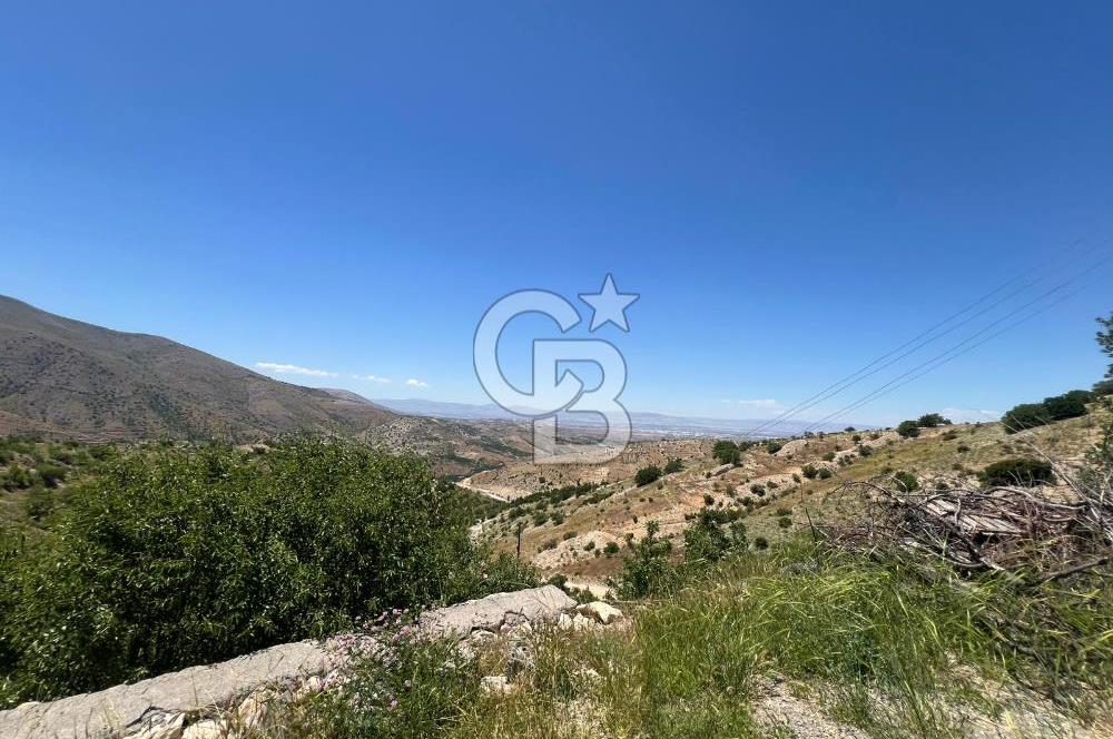 COLDWELL BANKER SAFİR'den GÜNDÜZBEY de 10.350 m² SATILIK BAHÇE