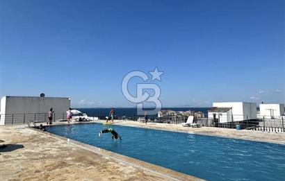 YALOVA ÇINARCIK TEŞVİKİYE HAVUZLU SİTE İÇİNDE SATILIK 1+1 DAİRE!