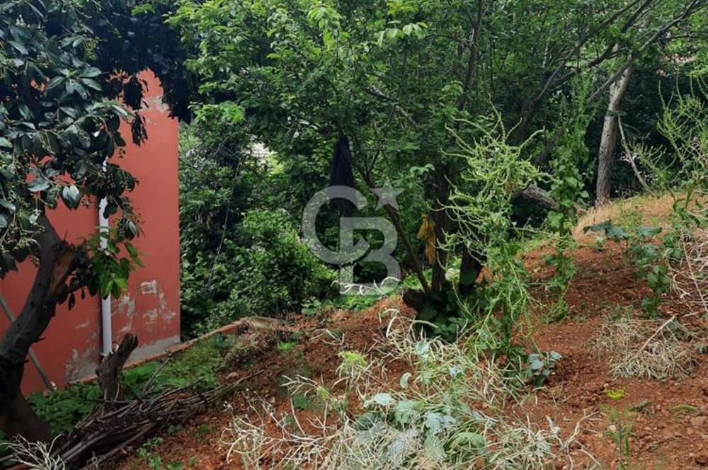 BEYKOZ TOKATKÖY DENİZ MANZARLI 704M2 MÜSTAKİL,KİPTAŞA KOMŞU ARSA