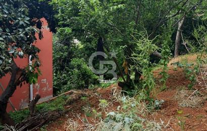 BEYKOZ TOKATKÖY DENİZ MANZARLI 704M2 MÜSTAKİL,KİPTAŞA KOMŞU ARSA