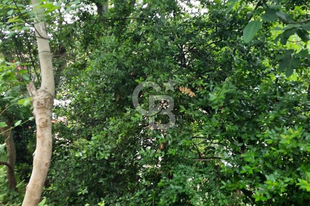 BEYKOZ TOKATKÖY DENİZ MANZARLI 704M2 MÜSTAKİL,KİPTAŞA KOMŞU ARSA
