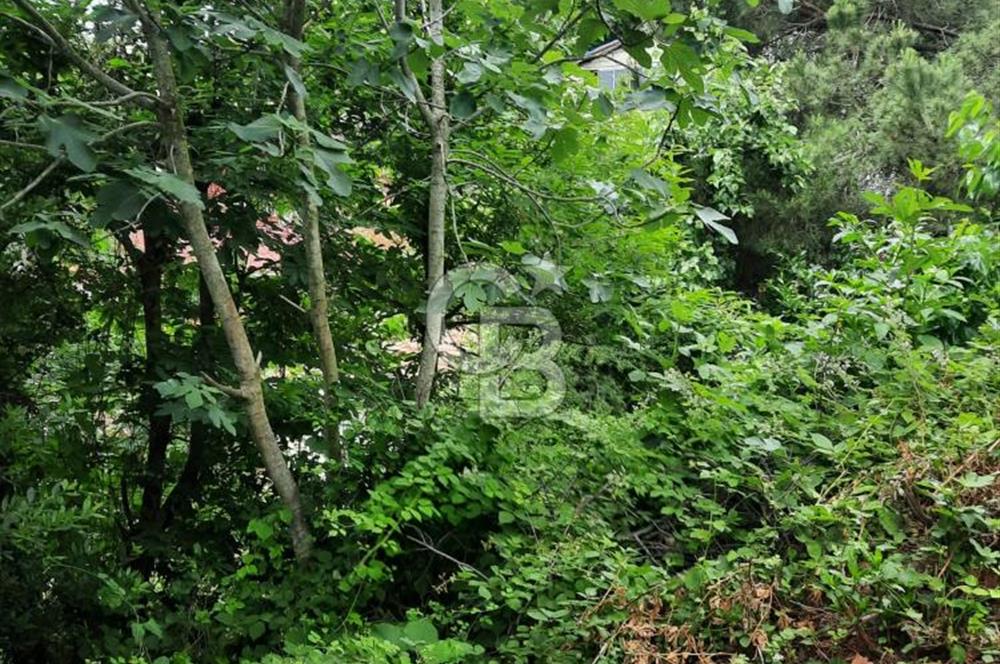 BEYKOZ TOKATKÖY DENİZ MANZARLI 704M2 MÜSTAKİL,KİPTAŞA KOMŞU ARSA