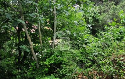 BEYKOZ TOKATKÖY DENİZ MANZARLI 704M2 MÜSTAKİL,KİPTAŞA KOMŞU ARSA