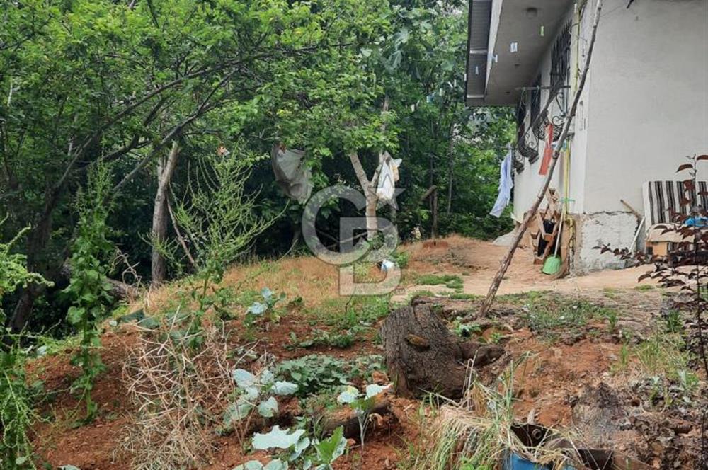 BEYKOZ TOKATKÖY DENİZ MANZARLI 704M2 MÜSTAKİL,KİPTAŞA KOMŞU ARSA