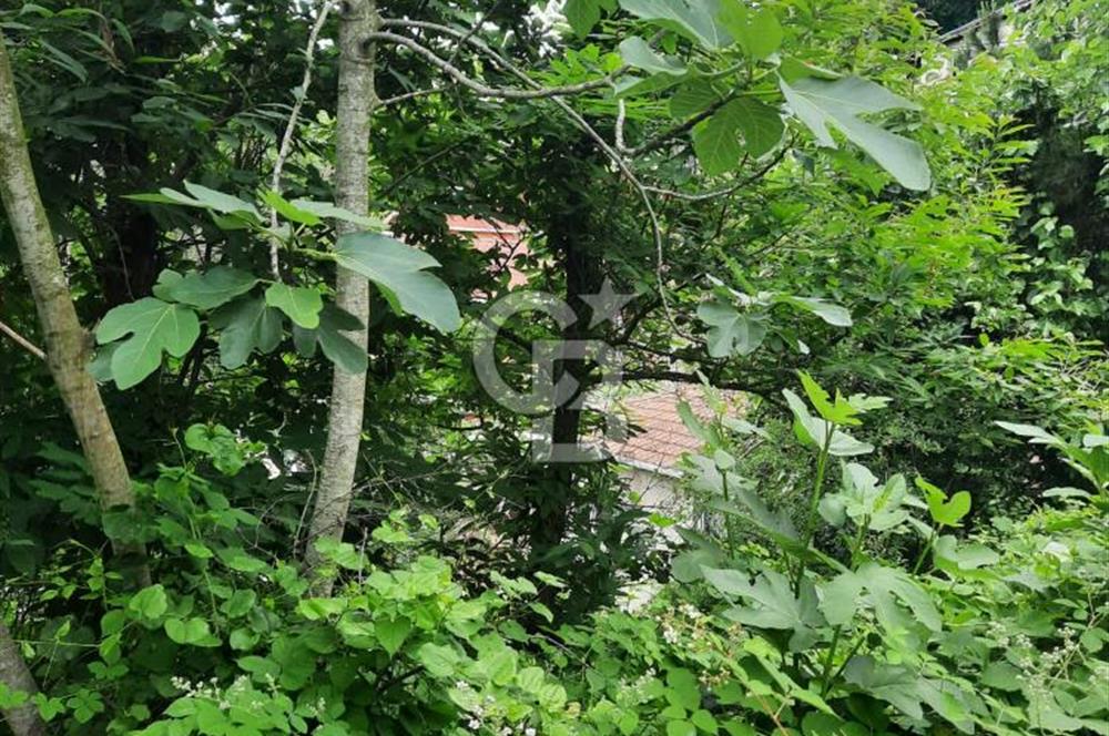 BEYKOZ TOKATKÖY DENİZ MANZARLI 704M2 MÜSTAKİL,KİPTAŞA KOMŞU ARSA