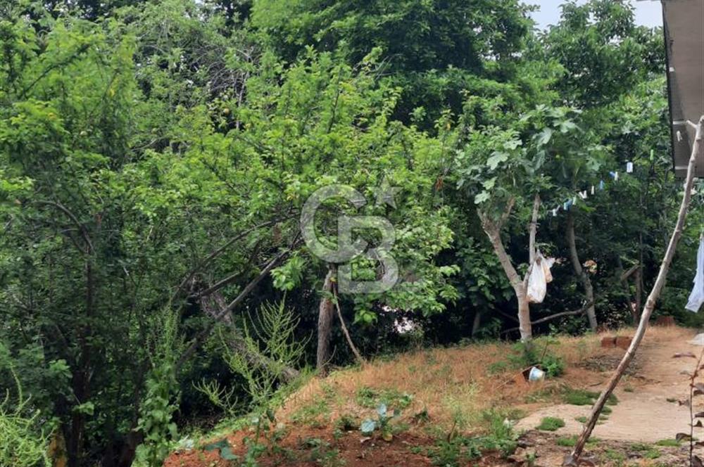 BEYKOZ TOKATKÖY DENİZ MANZARLI 704M2 MÜSTAKİL,KİPTAŞA KOMŞU ARSA