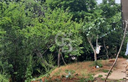BEYKOZ TOKATKÖY DENİZ MANZARLI 704M2 MÜSTAKİL,KİPTAŞA KOMŞU ARSA