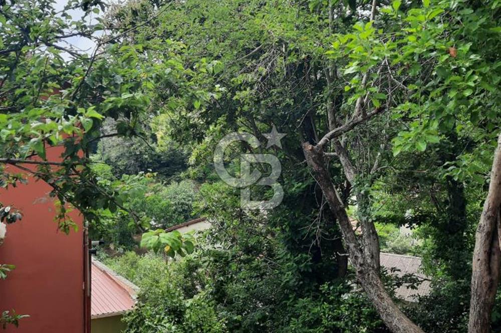 BEYKOZ TOKATKÖY DENİZ MANZARLI 704M2 MÜSTAKİL,KİPTAŞA KOMŞU ARSA