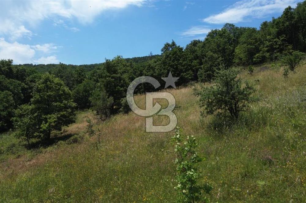 ÇAN ALTIKULAÇTA YATIRIMLIK SATILIK 8.335 m² FIRSAT TARLA