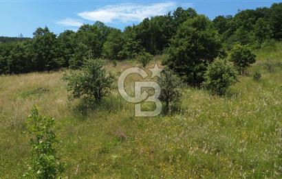 ÇAN ALTIKULAÇTA YATIRIMLIK SATILIK 8.335 m² FIRSAT TARLA