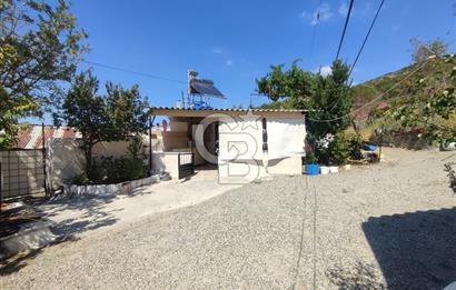 Ayvalık Türközü'nde Satılık Bahçeli Müstakil 2 Ev