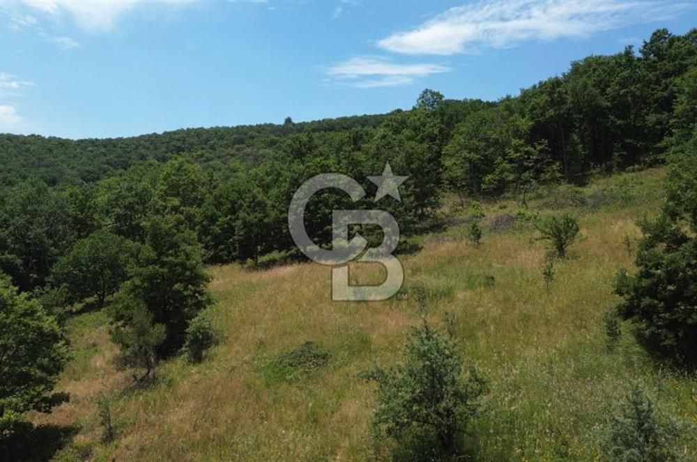 ÇAN ALTIKULAÇTA YATIRIMLIK SATILIK 8.335 m² FIRSAT TARLA