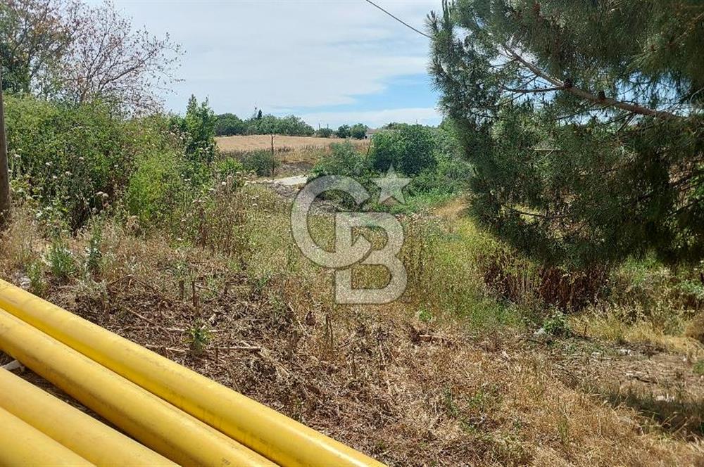 Marmaraereğlisi Yakuplu’da 833 m² Konut İmarlı Satılık Arsa