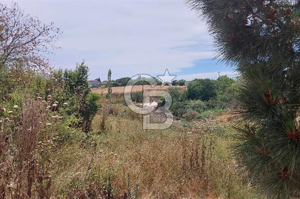 Marmaraereğlisi Yakuplu’da 833 m² Konut İmarlı Satılık Arsa