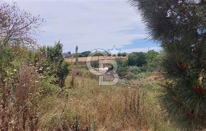 Marmaraereğlisi Yakuplu’da 833 m² Konut İmarlı Satılık Arsa