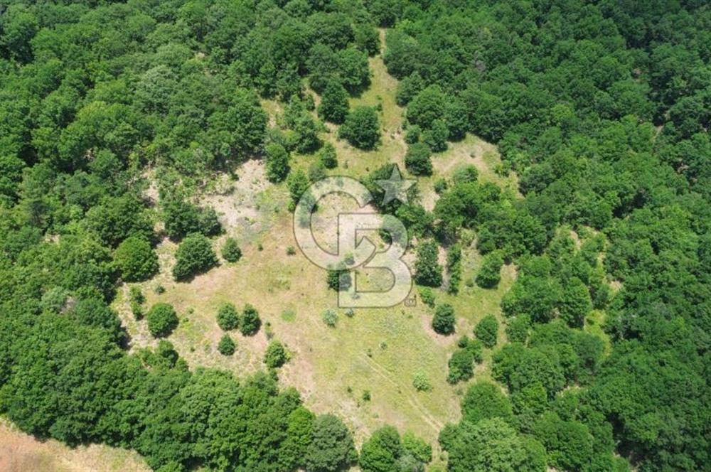 ÇAN ALTIKULAÇTA YATIRIMLIK SATILIK 8.335 m² FIRSAT TARLA