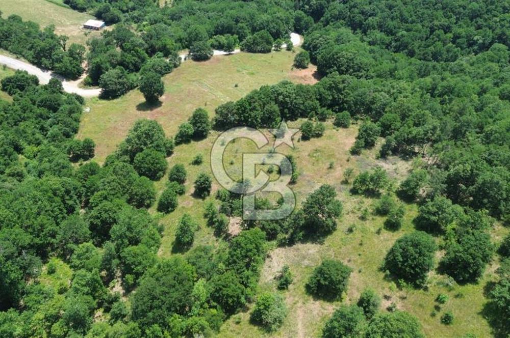 ÇAN ALTIKULAÇTA YATIRIMLIK SATILIK 8.335 m² FIRSAT TARLA