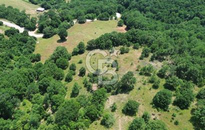 ÇAN ALTIKULAÇTA YATIRIMLIK SATILIK 8.335 m² FIRSAT TARLA