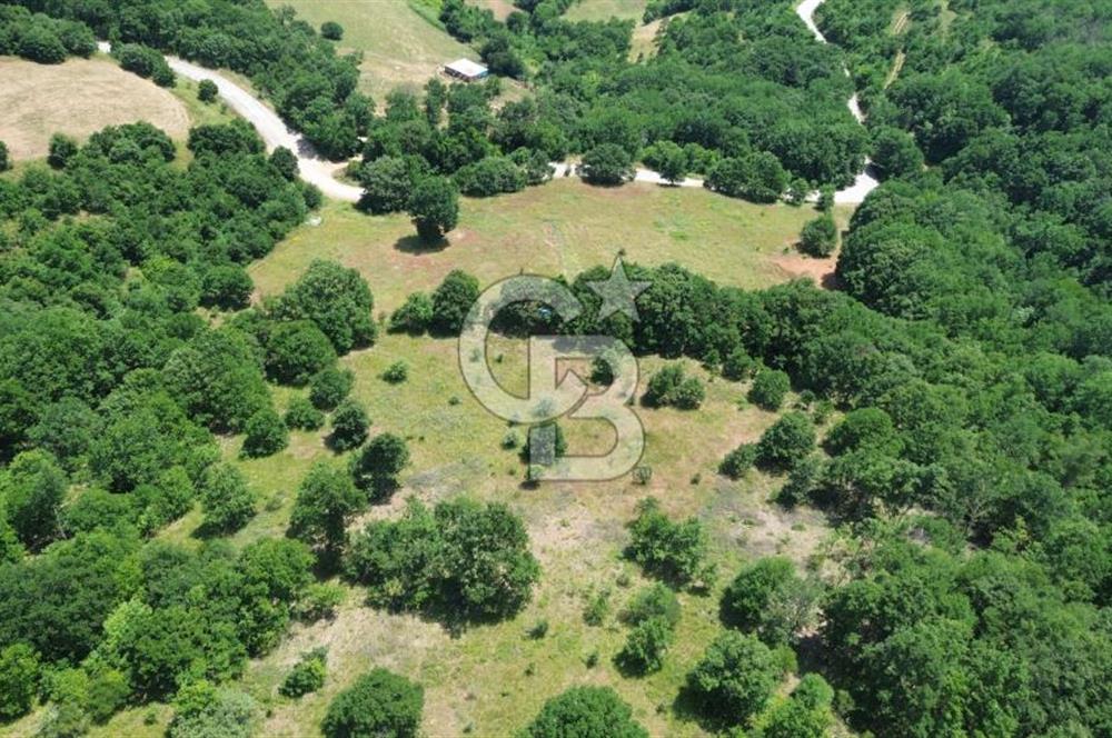ÇAN ALTIKULAÇTA YATIRIMLIK SATILIK 8.335 m² FIRSAT TARLA