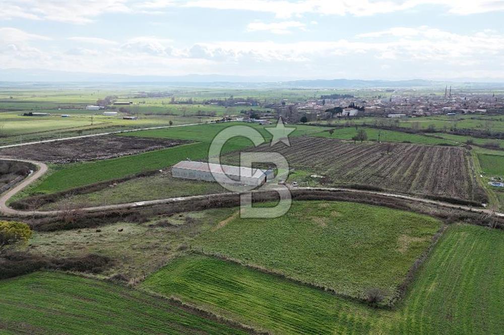 ÇANAKKALE BİGA KOCAGÜR KÖYÜ'NDE SATILIK FIRSAT ÇİFTLİK!!!