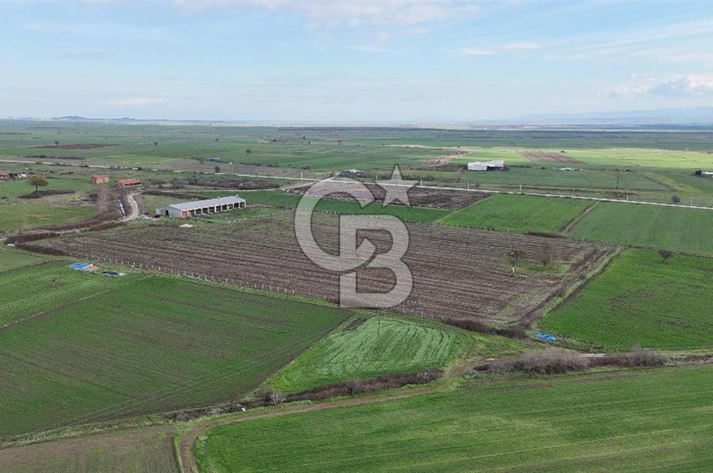 ÇANAKKALE BİGA KOCAGÜR KÖYÜ'NDE SATILIK FIRSAT ÇİFTLİK!!!