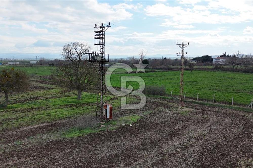 ÇANAKKALE BİGA KOCAGÜR KÖYÜ'NDE SATILIK FIRSAT ÇİFTLİK!!!