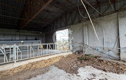 ÇANAKKALE BİGA KOCAGÜR KÖYÜ'NDE SATILIK FIRSAT ÇİFTLİK!!!