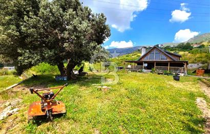 BORNOVA EĞRİDERE'DE 1000 M2 ARSA İÇİNDE AHŞAP BAĞ EVİ SATILIK