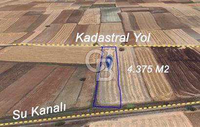 CB KİNG'DEN ÇANDIR MAHALLESİ'NDE 4375 m² SATILIK TARLA