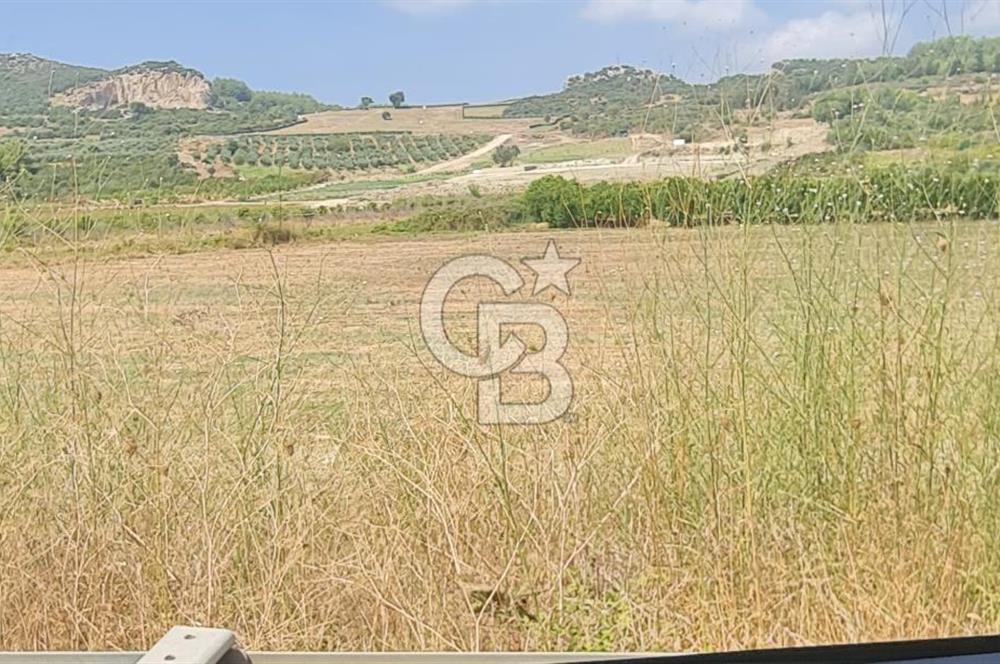 Manavgat Gündoğdu Hocalar Mevkisinde satılık hisse 