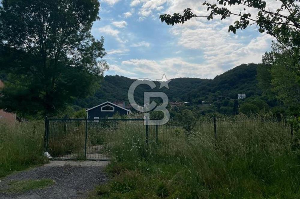 ŞİLE İSAKÖY KÖYİÇİ SATILIK TARLA