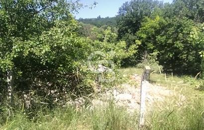 SATILIK, SİLİVRİ B. ÇAVUŞLU DA ORMAN MANZARALI 3 KAT İMARLI ARSA